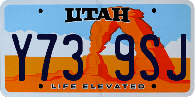 UT license plate Y739SJ