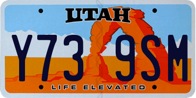 UT license plate Y739SM