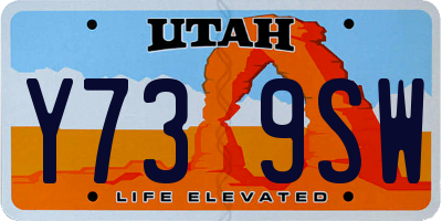 UT license plate Y739SW