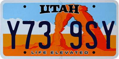 UT license plate Y739SY