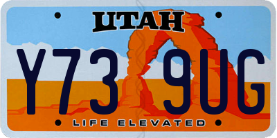 UT license plate Y739UG