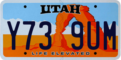 UT license plate Y739UM