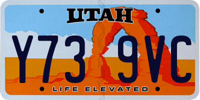 UT license plate Y739VC