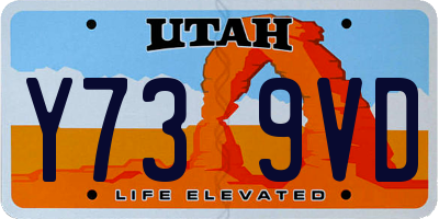 UT license plate Y739VD