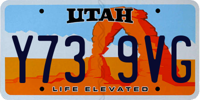 UT license plate Y739VG