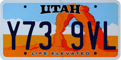 UT license plate Y739VL