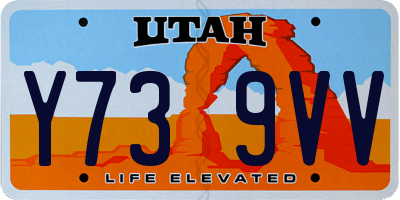 UT license plate Y739VV