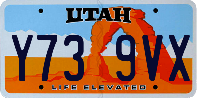 UT license plate Y739VX