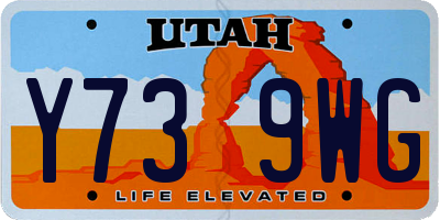 UT license plate Y739WG