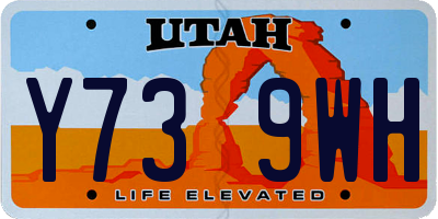 UT license plate Y739WH