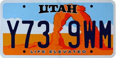 UT license plate Y739WM