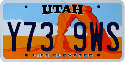 UT license plate Y739WS