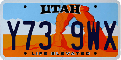 UT license plate Y739WX