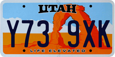 UT license plate Y739XK