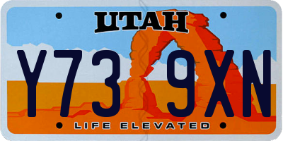 UT license plate Y739XN