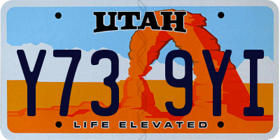 UT license plate Y739YI