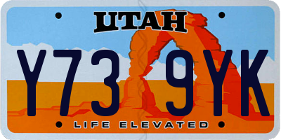 UT license plate Y739YK