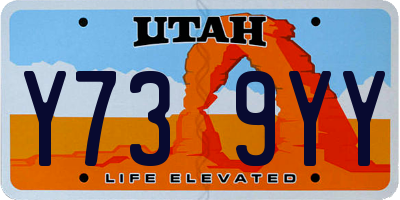UT license plate Y739YY