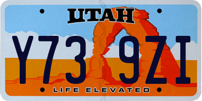UT license plate Y739ZI