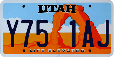 UT license plate Y751AJ