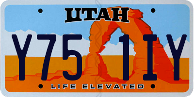 UT license plate Y751IY