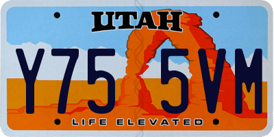 UT license plate Y755VM