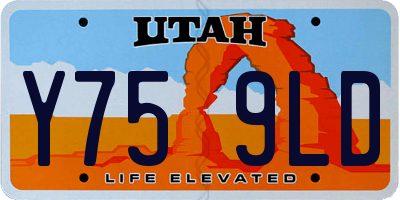 UT license plate Y759LD