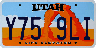 UT license plate Y759LI