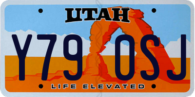 UT license plate Y790SJ