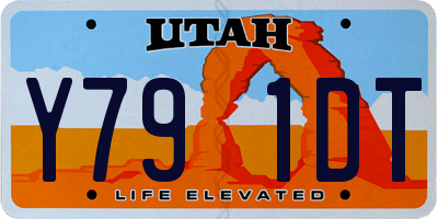 UT license plate Y791DT
