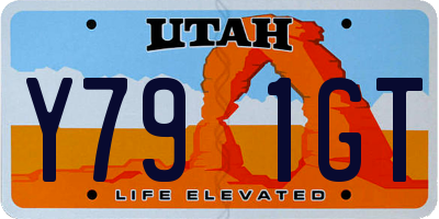 UT license plate Y791GT