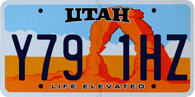 UT license plate Y791HZ