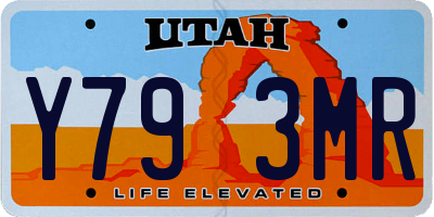 UT license plate Y793MR