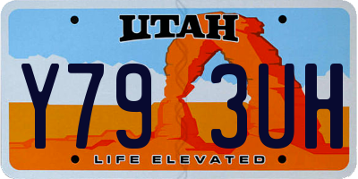 UT license plate Y793UH
