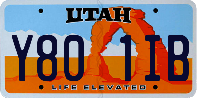 UT license plate Y801IB