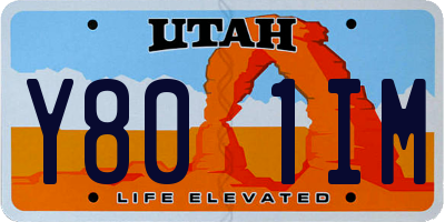UT license plate Y801IM