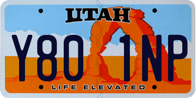 UT license plate Y801NP