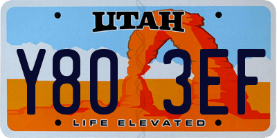 UT license plate Y803EF