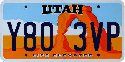 UT license plate Y803VP