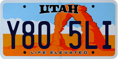UT license plate Y805LI