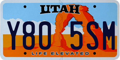 UT license plate Y805SM