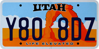 UT license plate Y808DZ