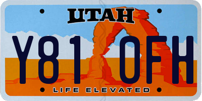 UT license plate Y810FH