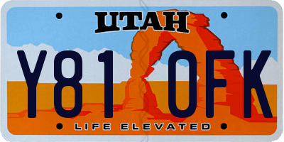UT license plate Y810FK