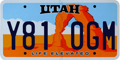 UT license plate Y810GM
