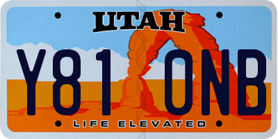 UT license plate Y810NB