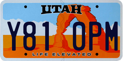 UT license plate Y810PM