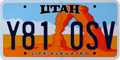 UT license plate Y810SV