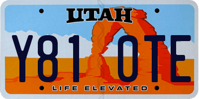 UT license plate Y810TE