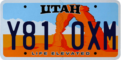 UT license plate Y810XM